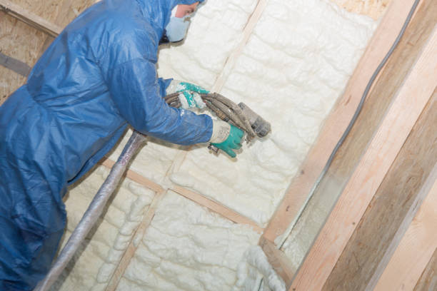  , USA Insulation Services Pros